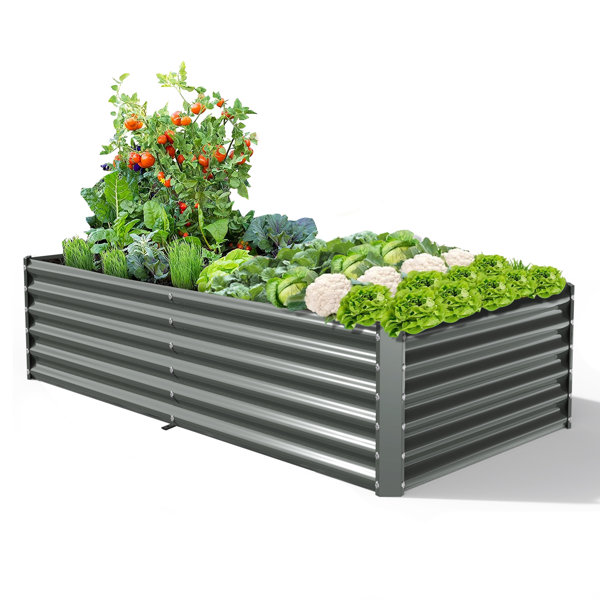 Arlmont & Co. Valerton 8X4X1.5 ft Galvanized Keyhole Composting Raised Garden Bed & Reviews